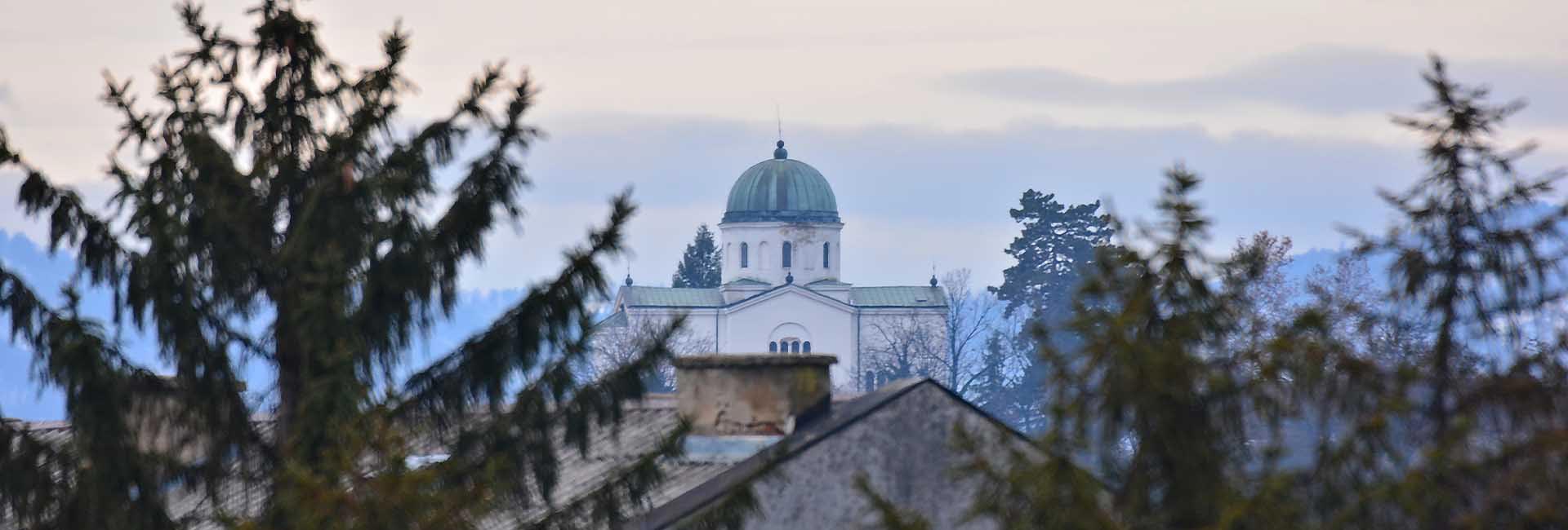 Viljuškari Srbija | Leskovac